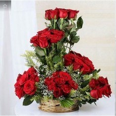 A Round  Basket arrangment of 50 Red Roses