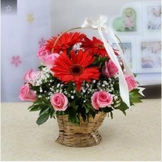 Beautiful Basket of Red Gerberas N Pink Roses