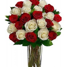 24 Red White Roses Vase