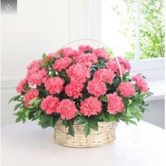Beautiful Carnation Basket