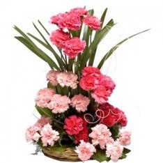 Carnations Arrangment