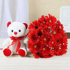 Gerbera Bouquet with Cute Teddy