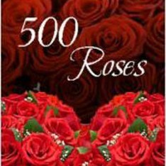 Bunch of 500 Roses