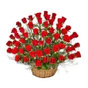 Basket of 50 Red Roses