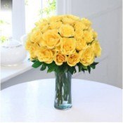 Glass Vase of 25 Yellow Roses