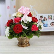 Beautiful Assorted Carnations Basket