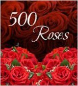 Bunch of 500 Roses