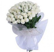 Bunch of 40 White Roses