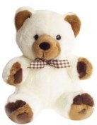 24 Inches Teddy off white with brown