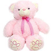 Pink Teddy 24 inch