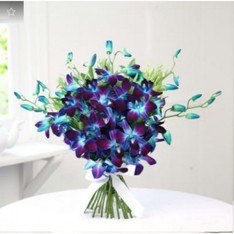 blue orchids