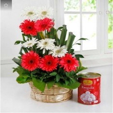 Basket Arrangement of 10 Mix Gerberas with Rasgulla 1 Kg