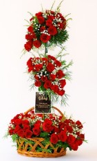 Premium 100 Red Roses Basket
