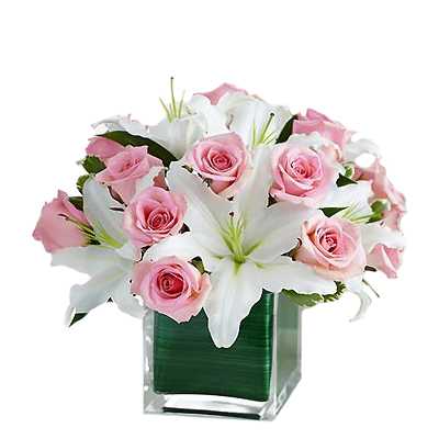 Fresh Fragrance Vase