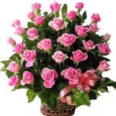 Pink Roses Love