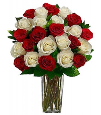 24 Red White Roses Vase