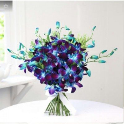 Beautiful 10 Blue Orchids