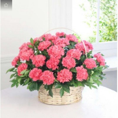 Beautiful Carnation Basket