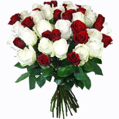 Bunch of 40 Red  White Roses