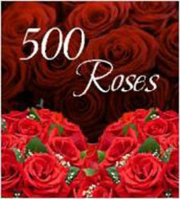 Bunch of 500 Roses