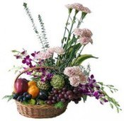 Nature’s Fresh Bloom Combo