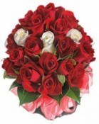 Bunch of 17 Red and 3 White Roses