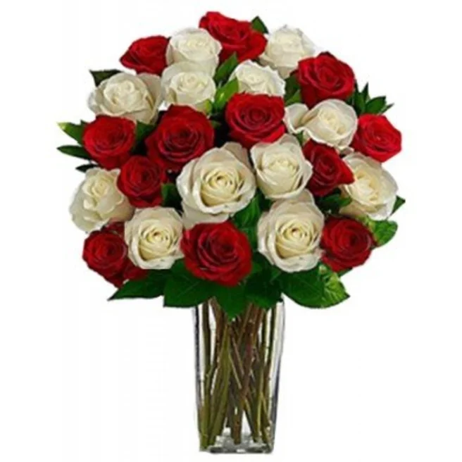24 Red White Roses Vase