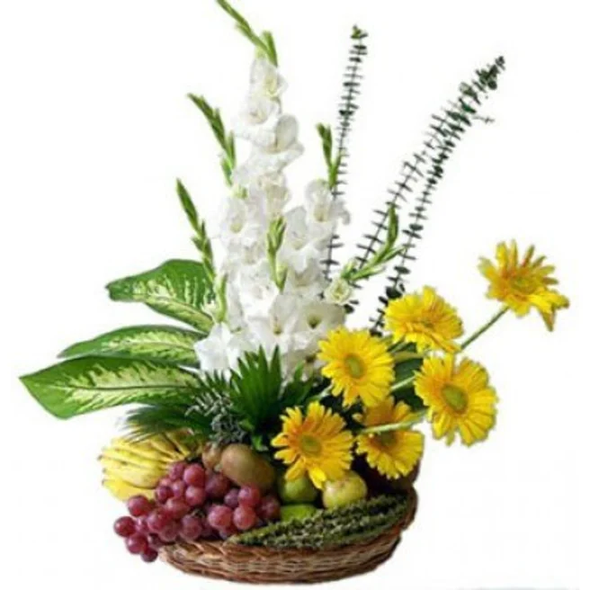 Best Fruits and Flowers