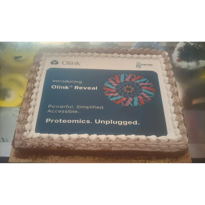 2 kgs Light Chocolate Photo Cake