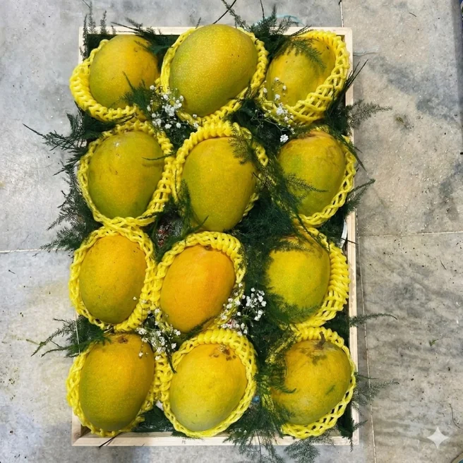 Ratnagiri Alphonso mango premium gift box with 12 fresh mangoes Mumbai
