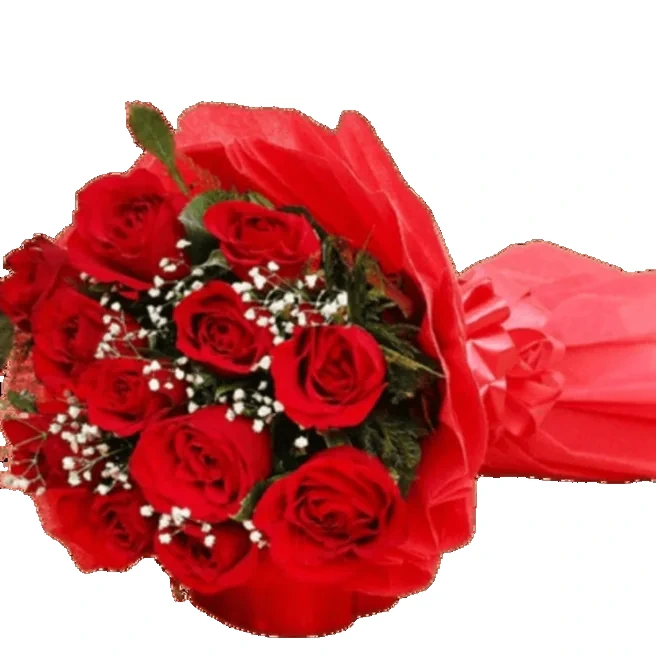 Bunch of 12 Redish Roses