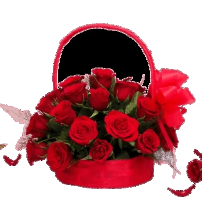 Basket of 25 Red Roses