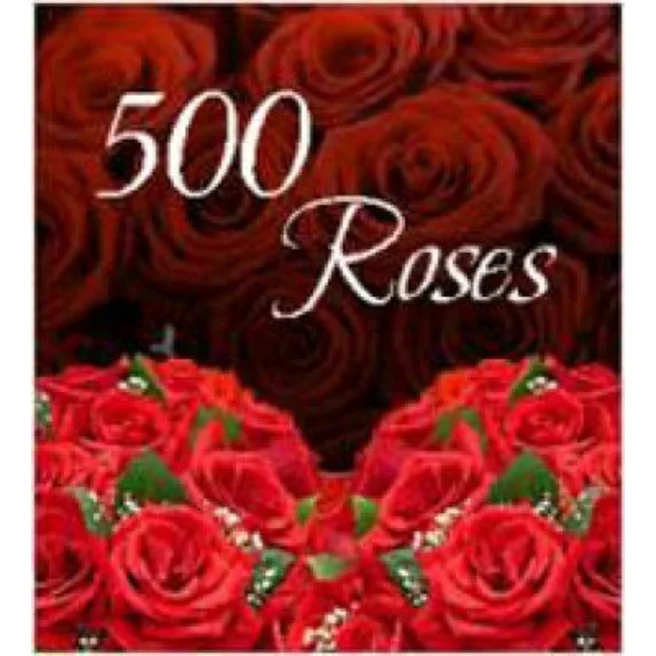 Bunch of 500 Roses