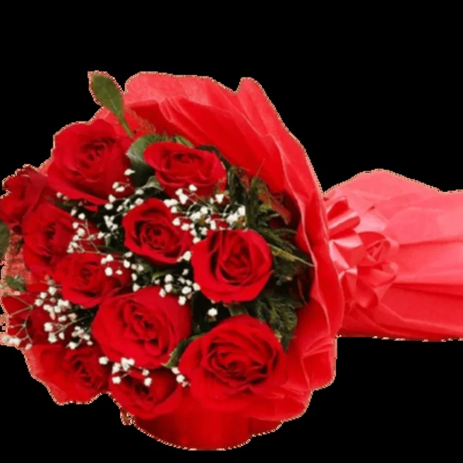 Bunch of 12 Redish Roses