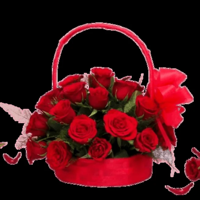 Basket of 25 Red Roses