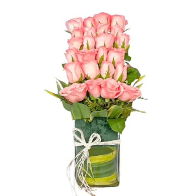 Pink Roses In vase